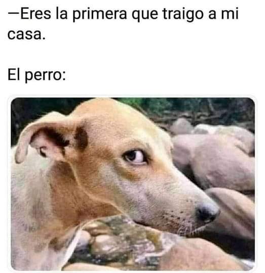 Mexi_Woman's tweet photo. #HumorDeMartes 😂 https://t.co/SwvGPKG2Sd