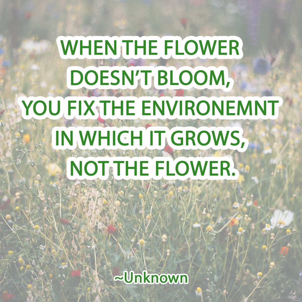 Crypto4Changemaking tweet media