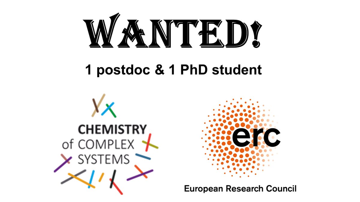 DydioLab tweet media