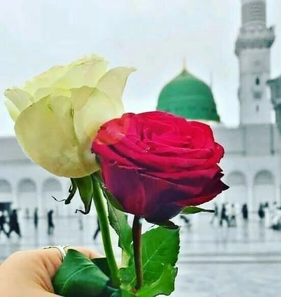 Elin (@elin37608095) on Twitter photo 