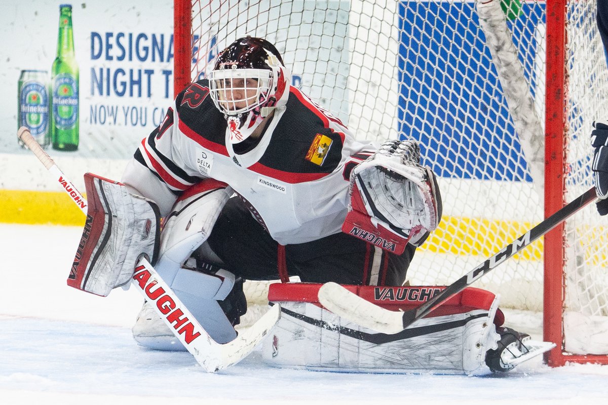 TorontoMarlies's tweet photo. News: The Marlies have signed goaltender Rylan Parenteau to a PTO. #MarliesLive https://t.co/3PEV2k8v9n