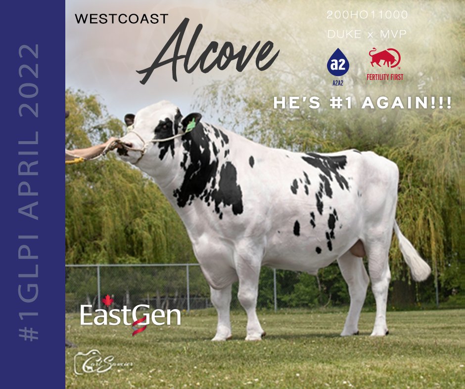 EastGenGenetics's tweet photo. π₯ Westcoast ALCOVE dominates againβΌοΈ
At +2379 kg Milk, +147 kg Fat, +0.44% Fat and +9 Conformation, it's no surprise that ALCOVE is still #1 among proven bulls in Canada for today's proof release!
β’ A2A2 π₯
β’ Fertility Firstβ’ π―
Watch for more #Aprilproofs news! https://t.co/51hxKdEBGs