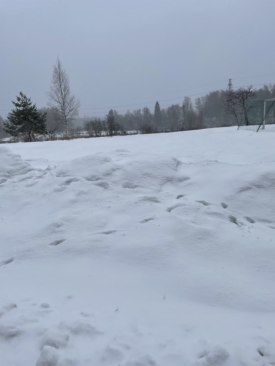 April in Finland… 🤡I’ll be moving to Florida, California or Texas soon as I’m done with University. 🤦🏼‍♂️