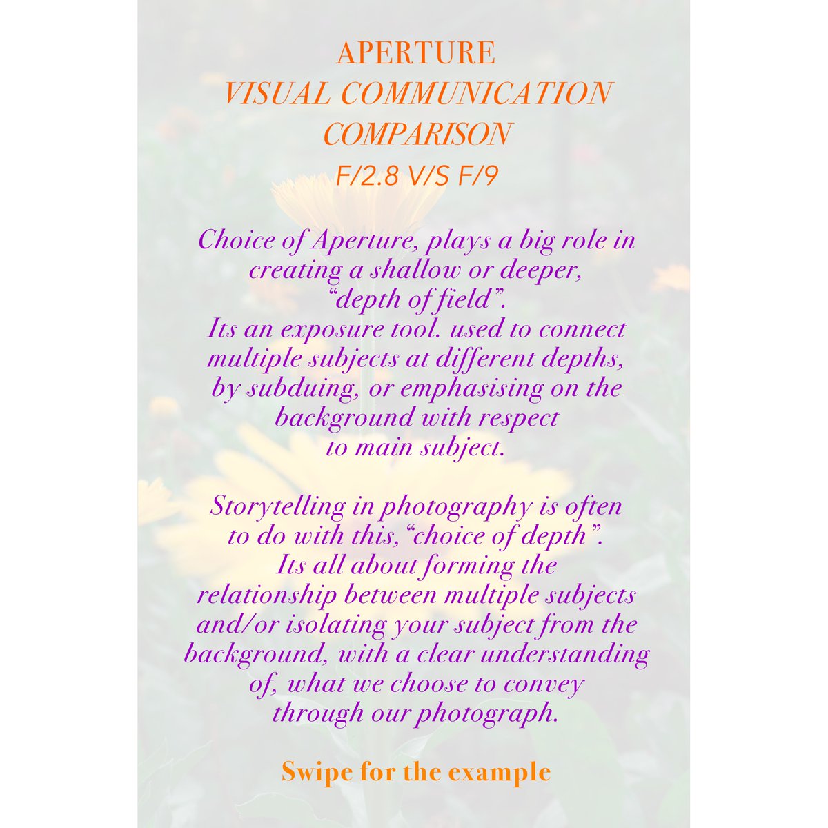 ConnectMudart's tweet photo. Swipe to realise, how aperture can change the story of a photograph and how...
Did this post help you as a photographer?
#mudart #mfps
#photowalk #photo #photographyadvice #aperture #storytelling #learnphotography #exposure #photographycourse #photographer #flowerphotography https://t.co/xLrbgh3r61