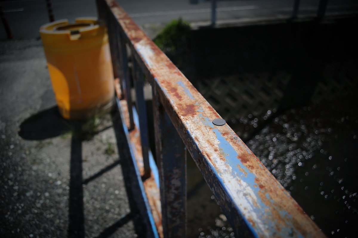 fuotorizo's tweet photo. 退廃と春のコントラスト https://t.co/dpgaA1wNSK