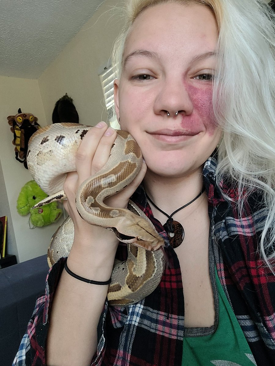 Neon_Peppermint's tweet image. Ugh I love herrrr #snake #shorttailpython