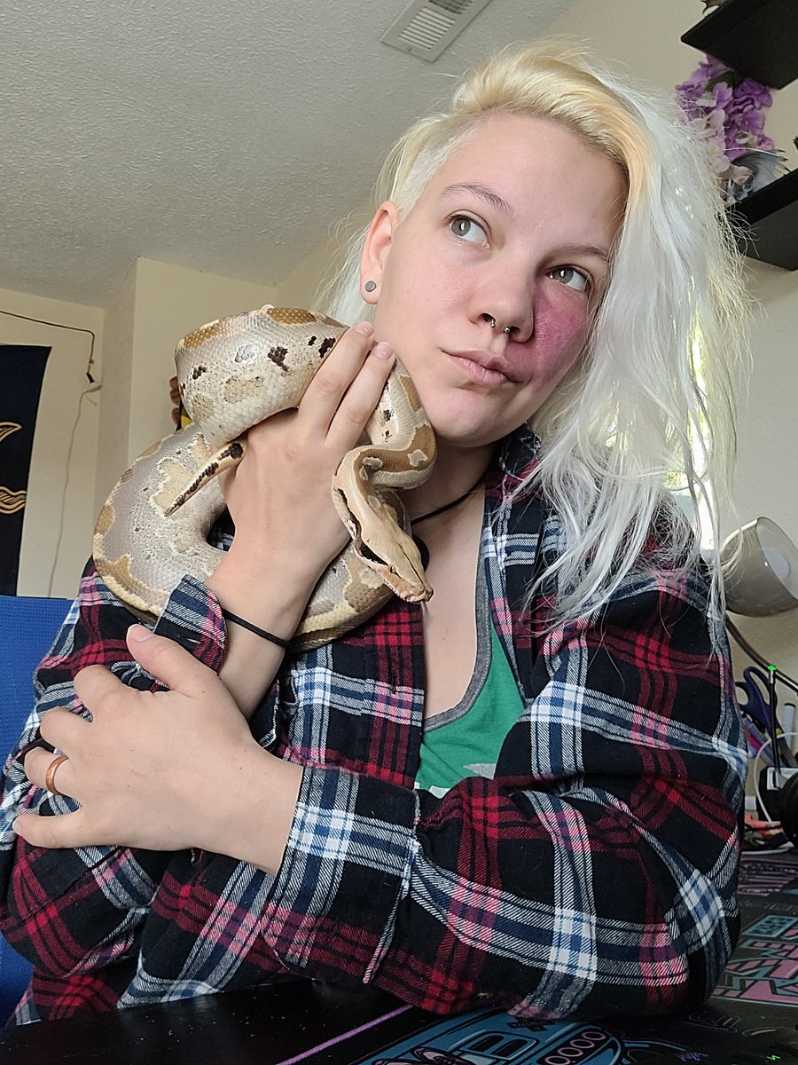 Neon_Peppermint's tweet image. Ugh I love herrrr #snake #shorttailpython