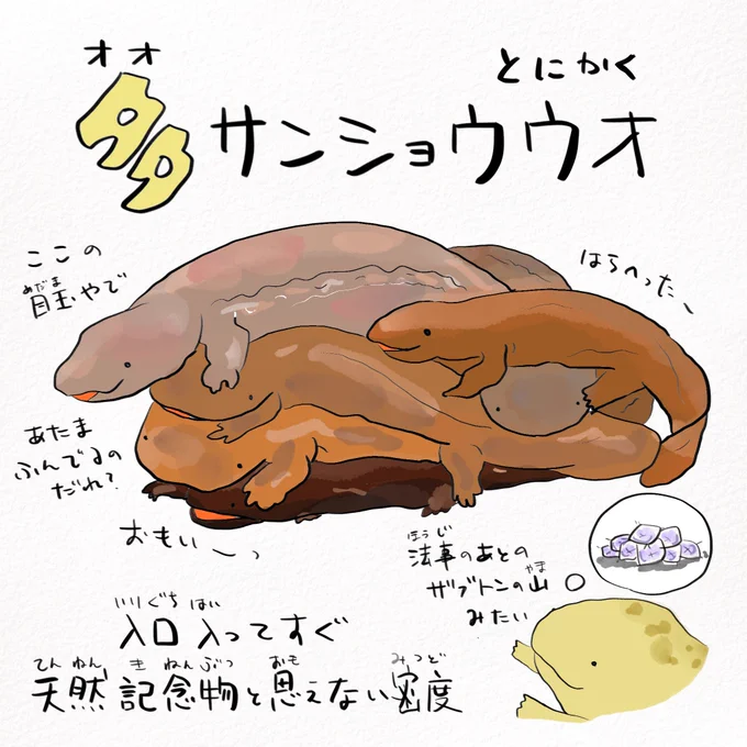 京都水族館の魅力はオオサンショウウオが多サンショウウオすぎるところ 