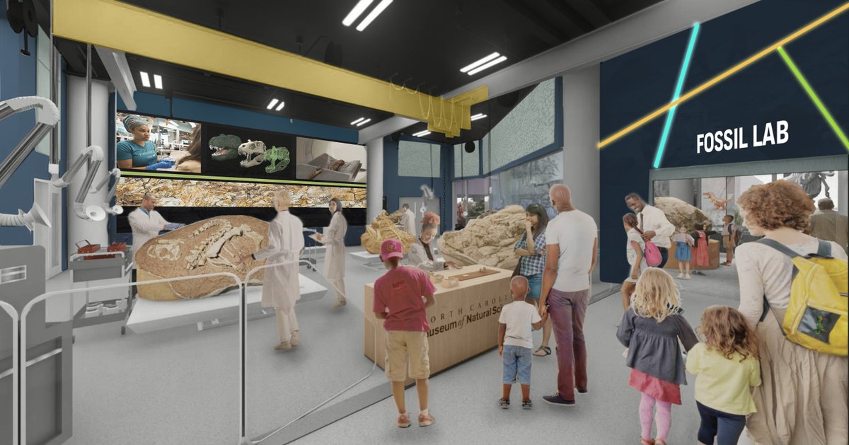 Lindsay Zanno tweet media