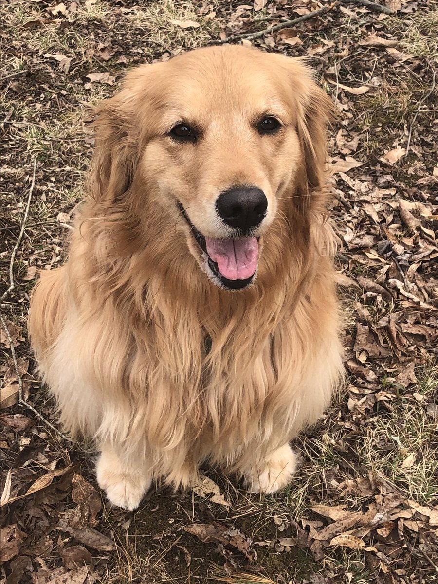 TheNovel_Kberly's tweet image. Dis me Harmony! It is #TongueoutTuesday and I aim to please! #GRC #whereisSpring?