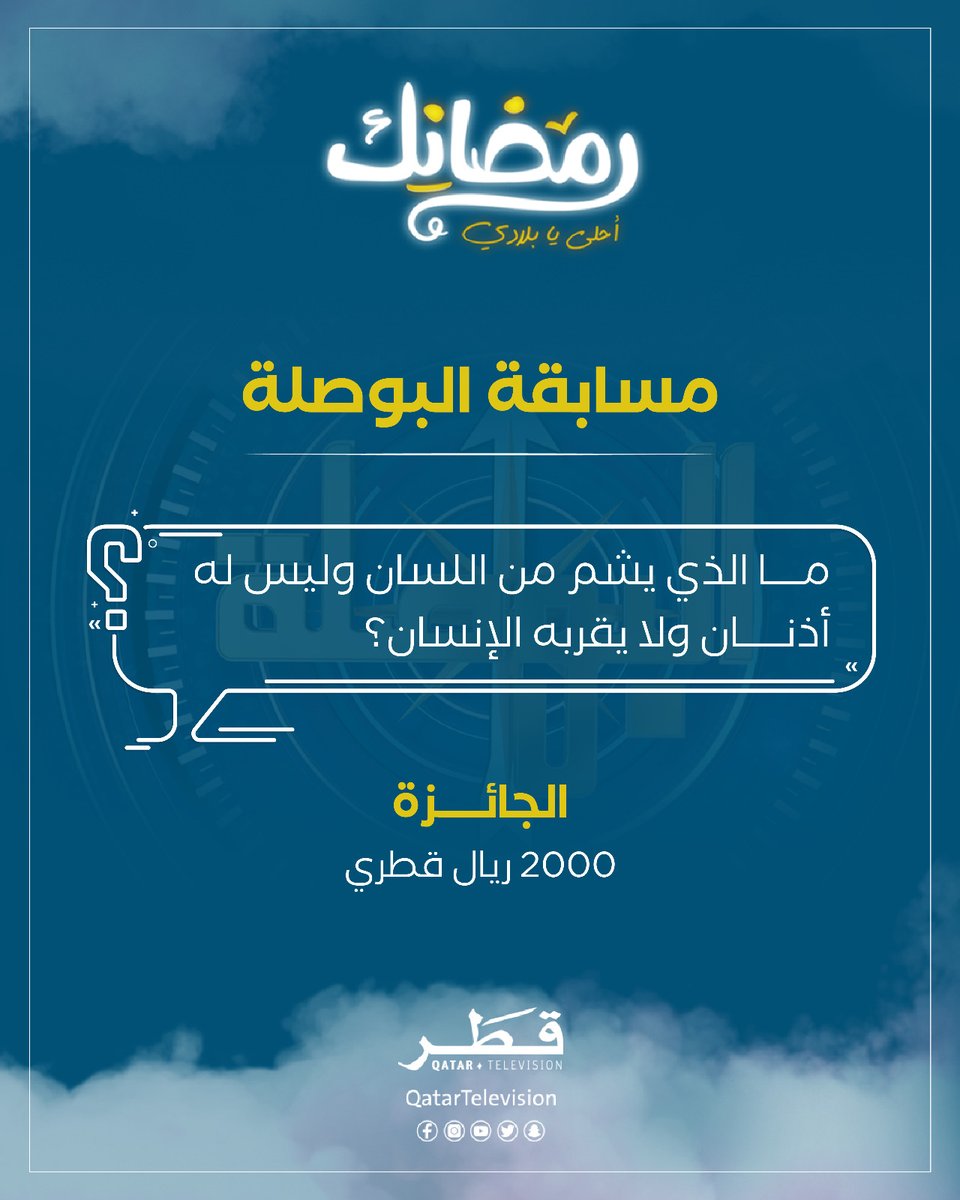 تلفزيون قطر tweet media