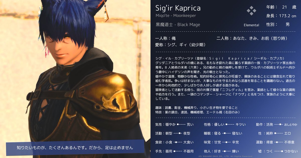 sigil_14's tweet photo. @FF14_story うちの子のRP上の設定はこんな感じ。 https://t.co/Gr75ofLe2F
