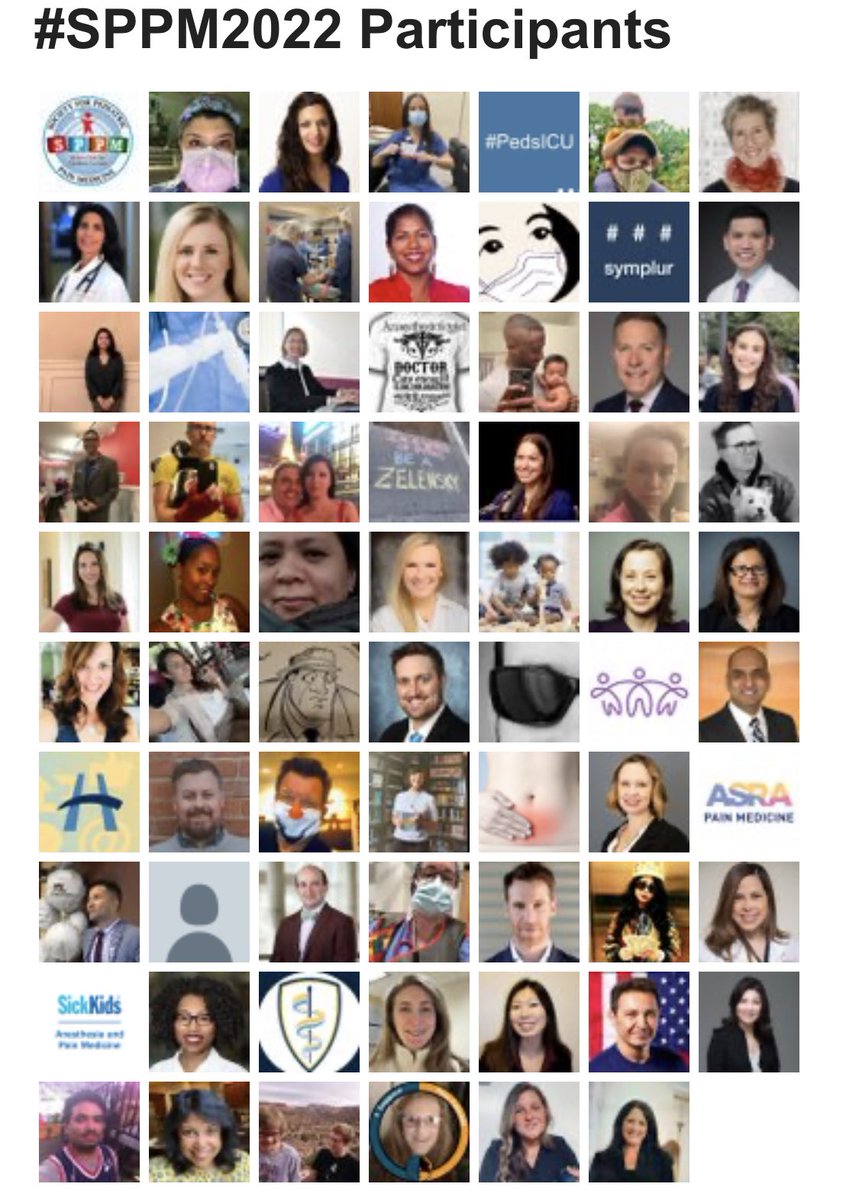 PedsPainMed's tweet photo. Participants of #SPPM2022! #SPAFL2022 #PedsPain https://t.co/9KGheKdu6b
