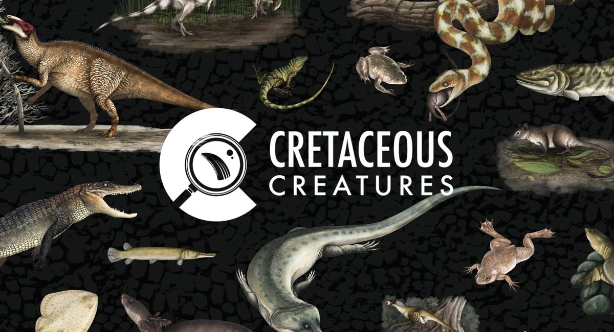 Lindsay Zanno tweet media