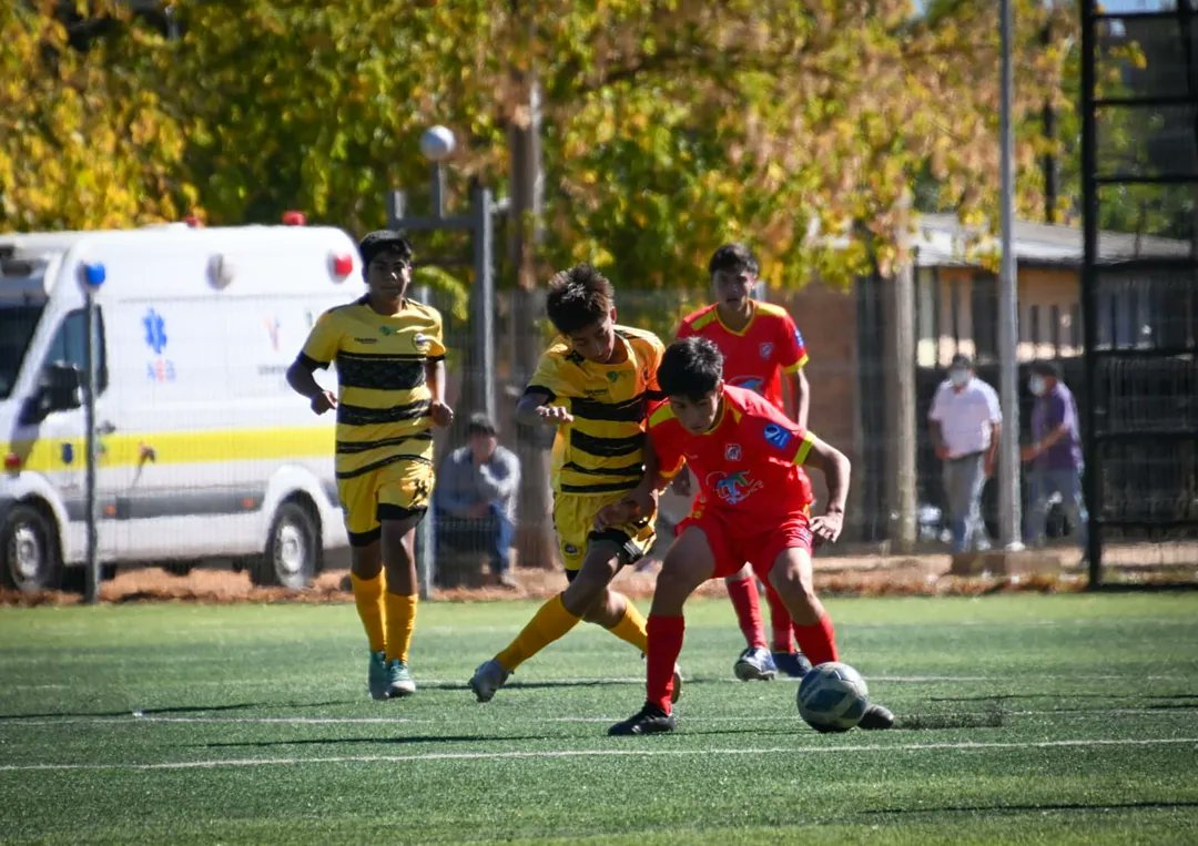 Lautaro de Buin tweet media