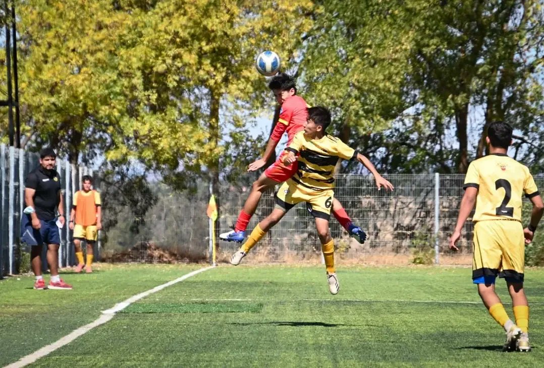 Lautaro de Buin tweet media