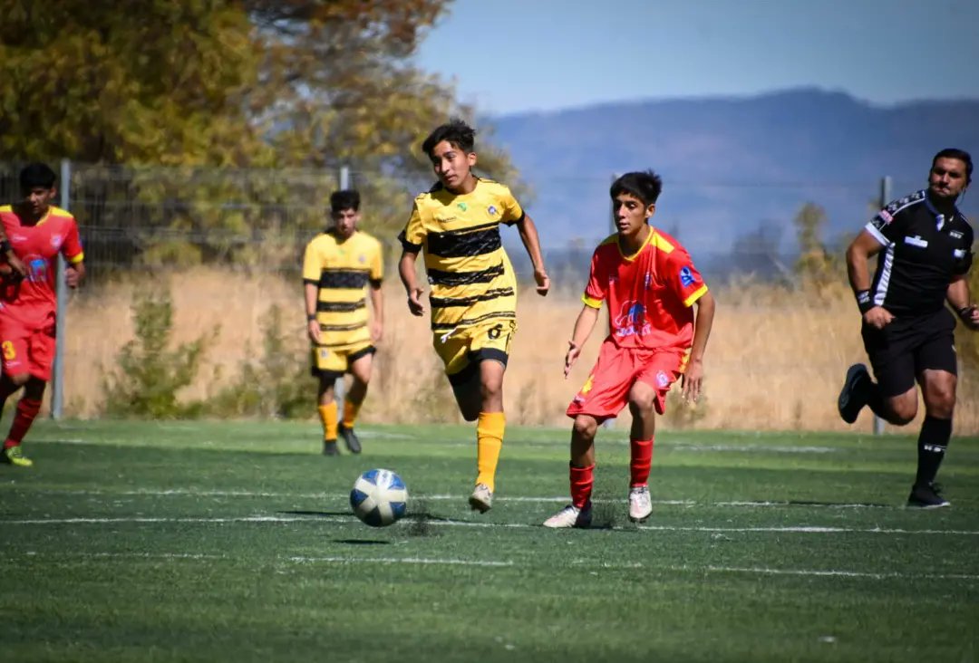 Lautaro de Buin tweet media