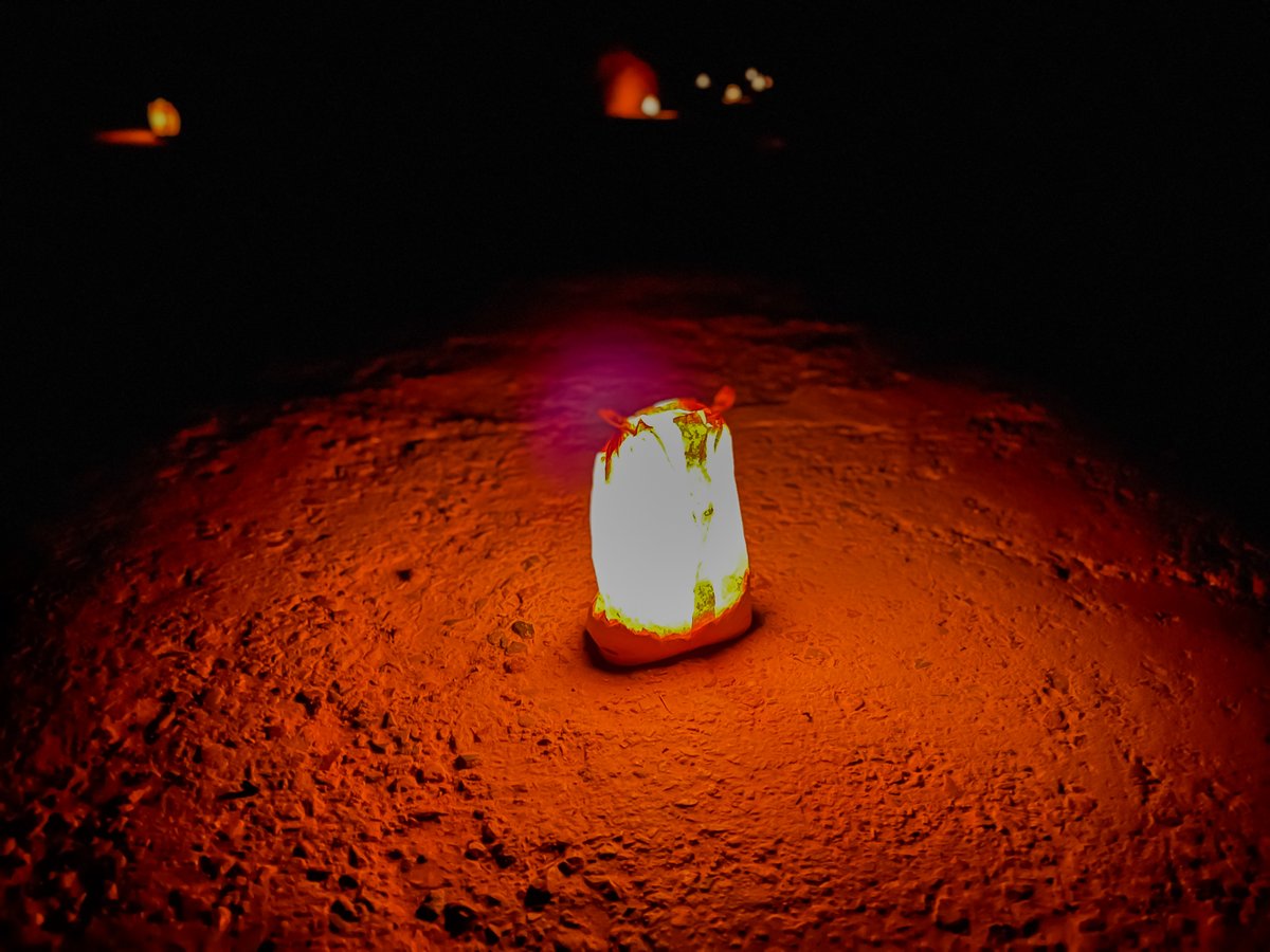 divergenttravel's tweet photo. See a 2000 year old world wonder by candlelight? Yes, please!
#Petra #Globus #JordanEscape #ShareYourJordan #VisitJordan @globusfamily @VisitJordan #ad #Travel https://t.co/MTeqNgxDJW