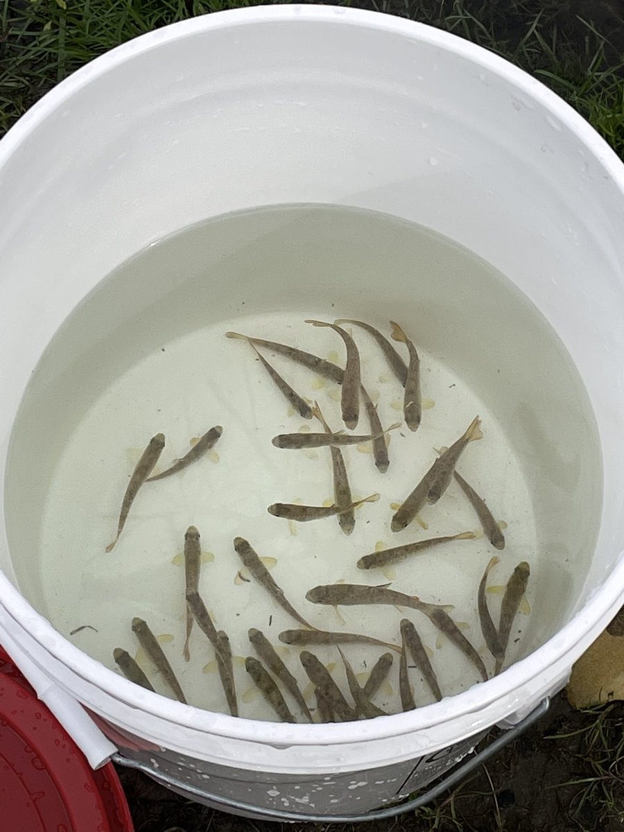 Mr.Burke tweet media