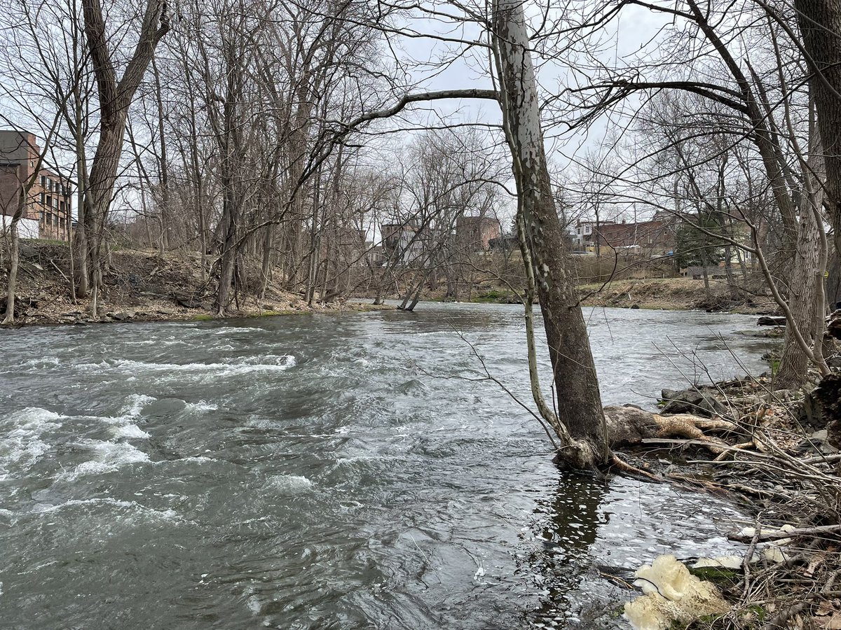 Mr.Burke tweet media