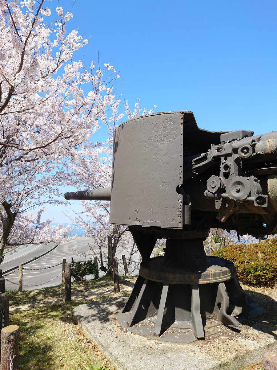 桜と砲台のある風景