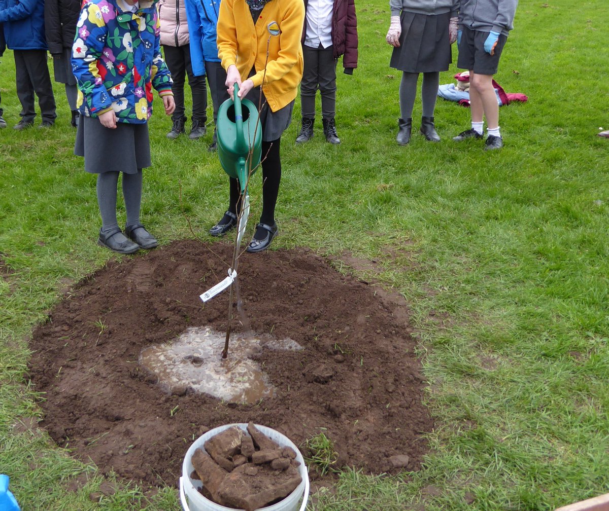 Golden Valley Primary School tweet media