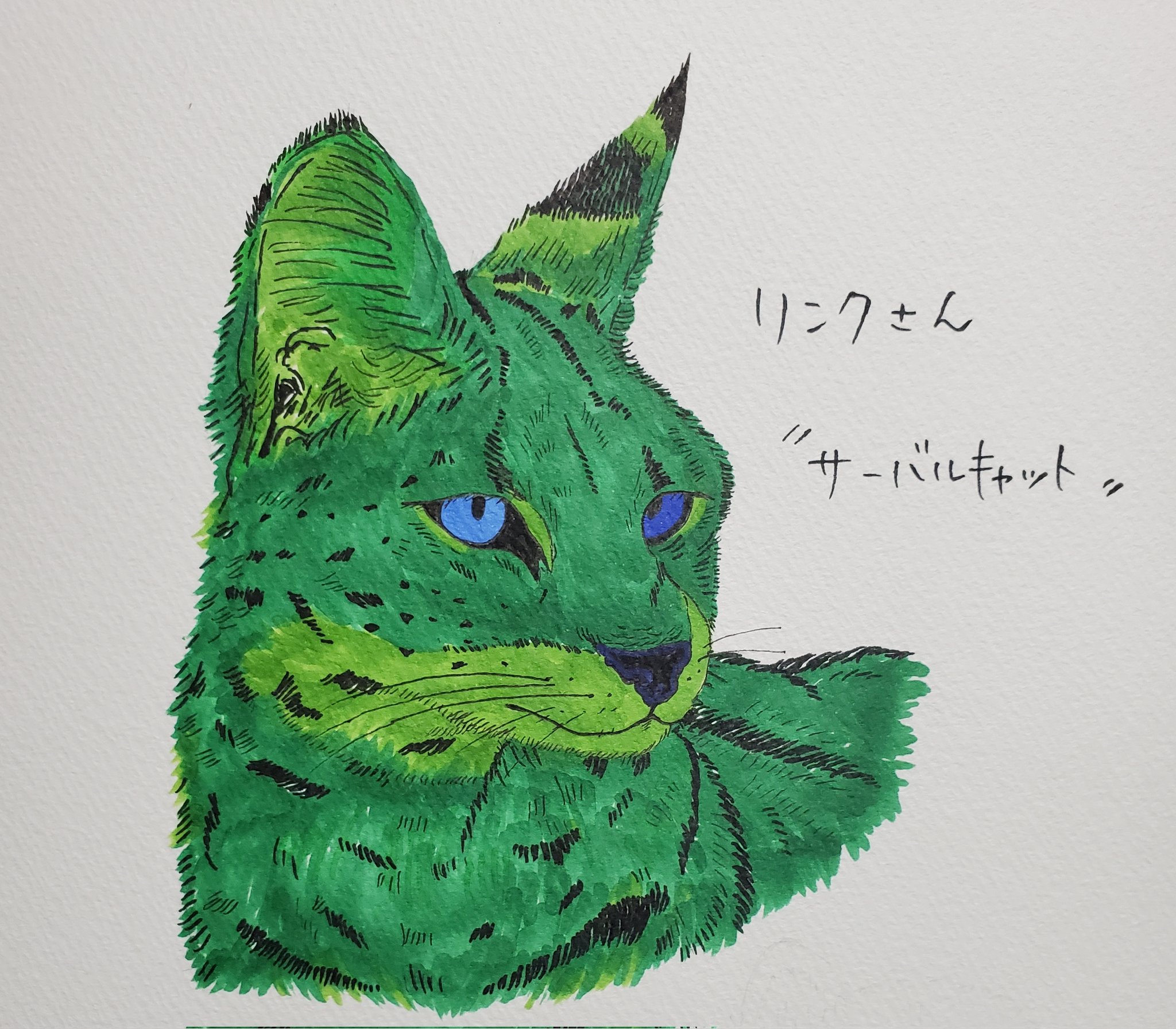 Uzivatel 流 Na Twitteru サーバルキャット 緑 青 黒 コピック イラスト T Co Aw5duxnc0f Twitter