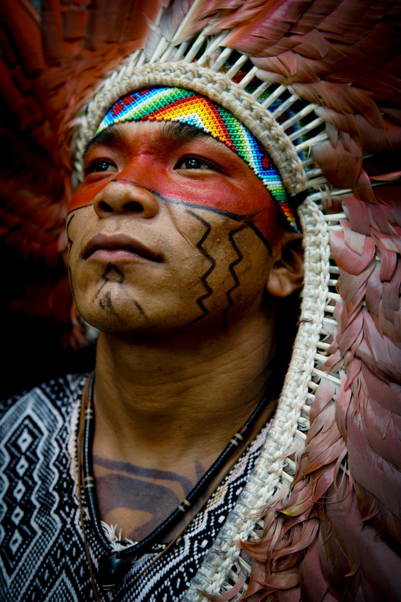 UN4Indigenous's tweet photo. On today’s #InternationalDayOfConscience we want to highlight that everyone – especially indigenous peoples – has self-respect and the right to live with peace and security. Indigenous rights must be promoted and implemented by governments, business and everyone! #UNDRIP https://t.co/QOcwbJtdJc