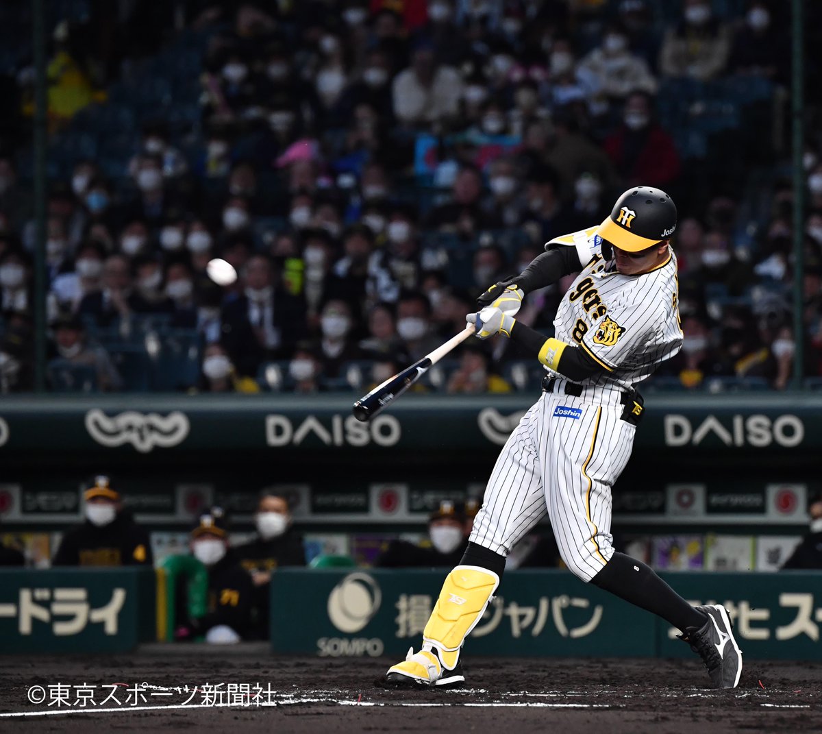 プロ野球】2022年4月5日 阪神XDeNA 甲子園球場 1号ホームラン #佐藤