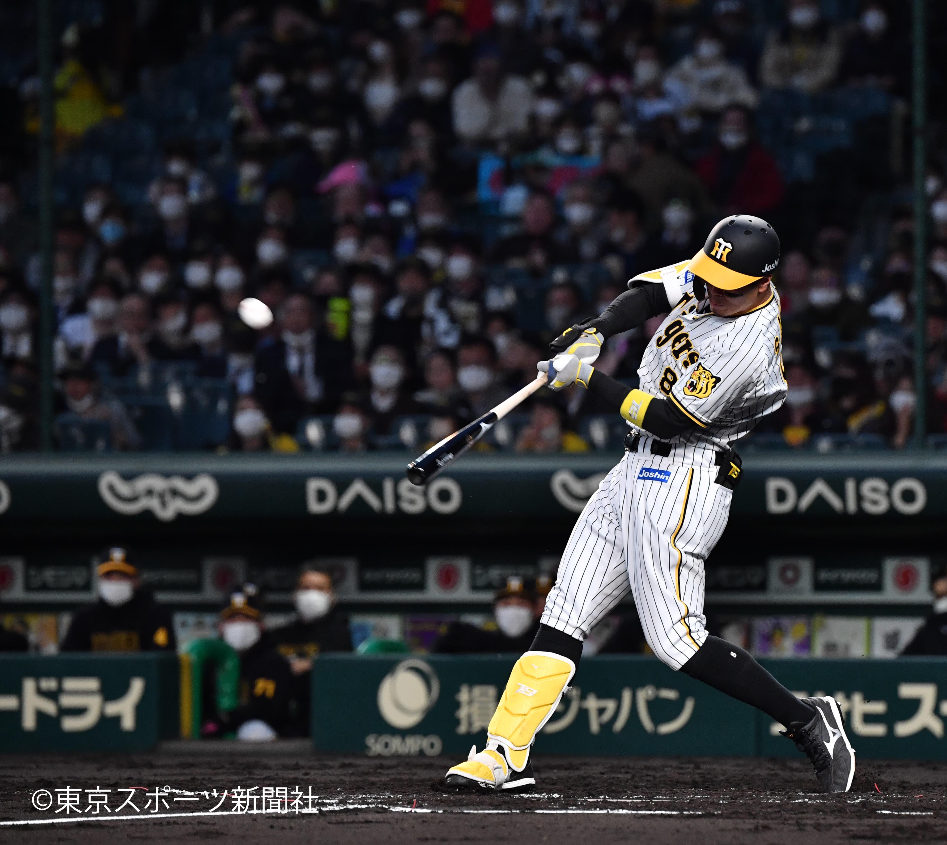 Ki-gu-mi X 阪神タイガース甲子園球場 - メルカリ