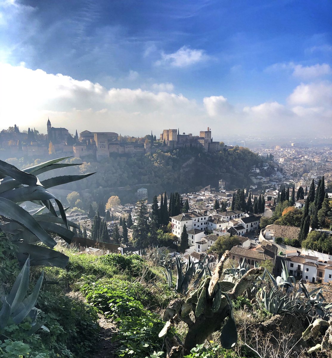 Martijn Wokke tweet media