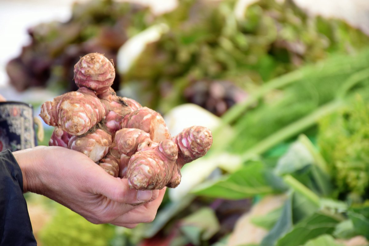 MercatDePages's tweet photo. A Mas Roca, a més d'horta també hi trobareu llegums! Tasteu-los! 

#Productesdelaterra #Productscatalans #behealthy #beecologic #ecològic #ecomaresme #proximitat #km0 #emergenciaclimatica #Mercatdepages #Mercatdepagesbarcelona #Mercatdepagesgermanetes https://t.co/c6EhR5pg4R