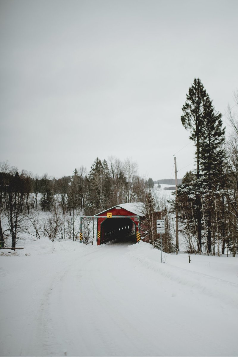Stéphanie Allard tweet media