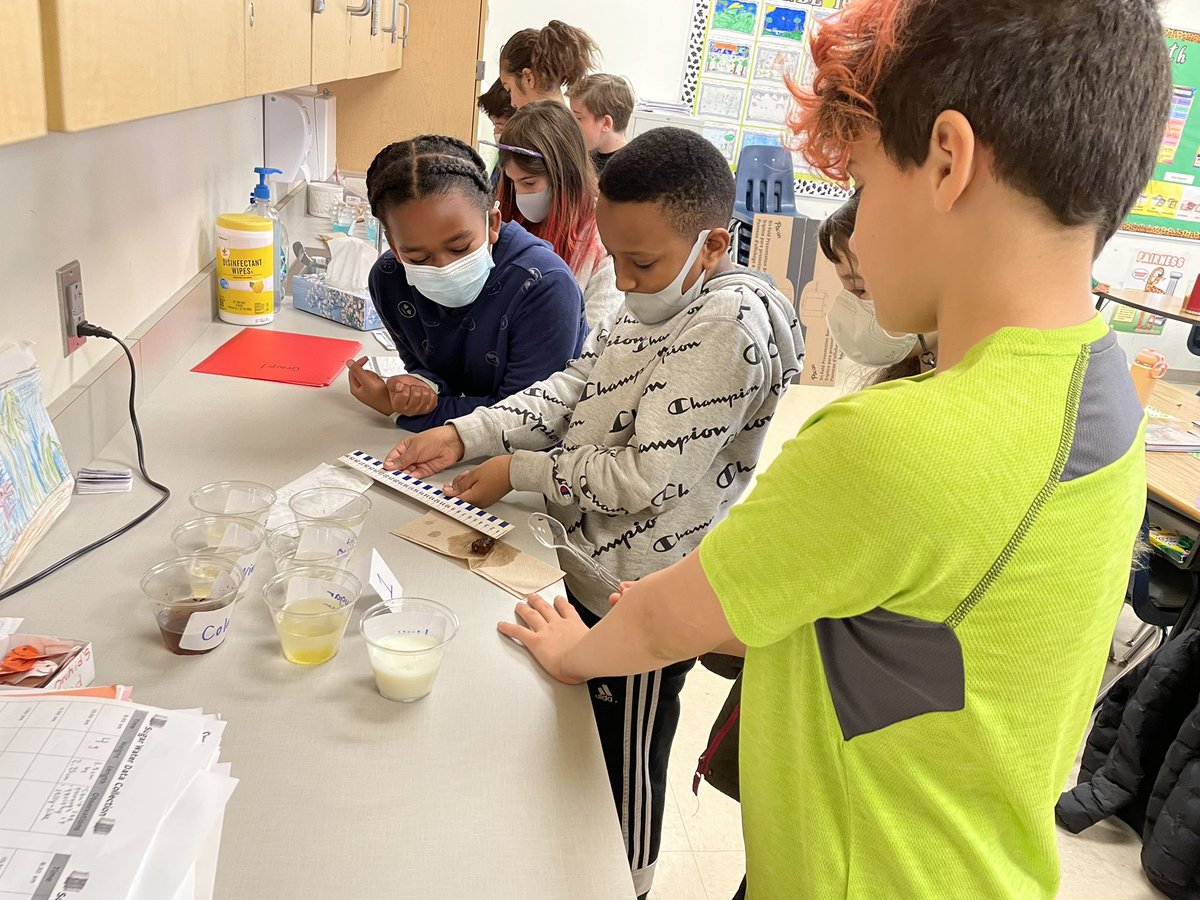APS_ATS's tweet image. STEM week is in full swing at ATS. Check out our 4th graders in action - the coolest science experiments involve gummy bears!