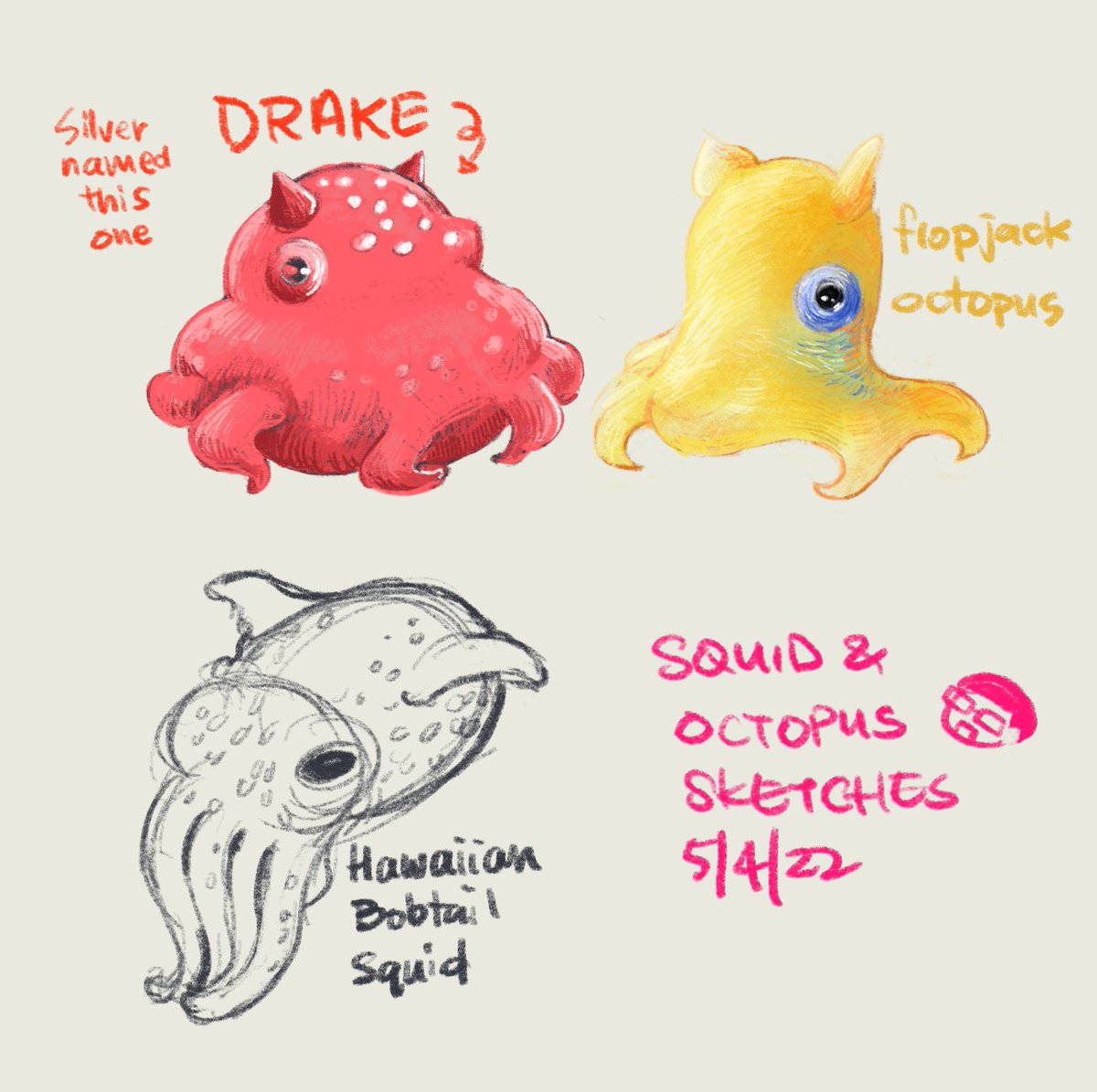 Random doodles / sketches of squid and octopus today
