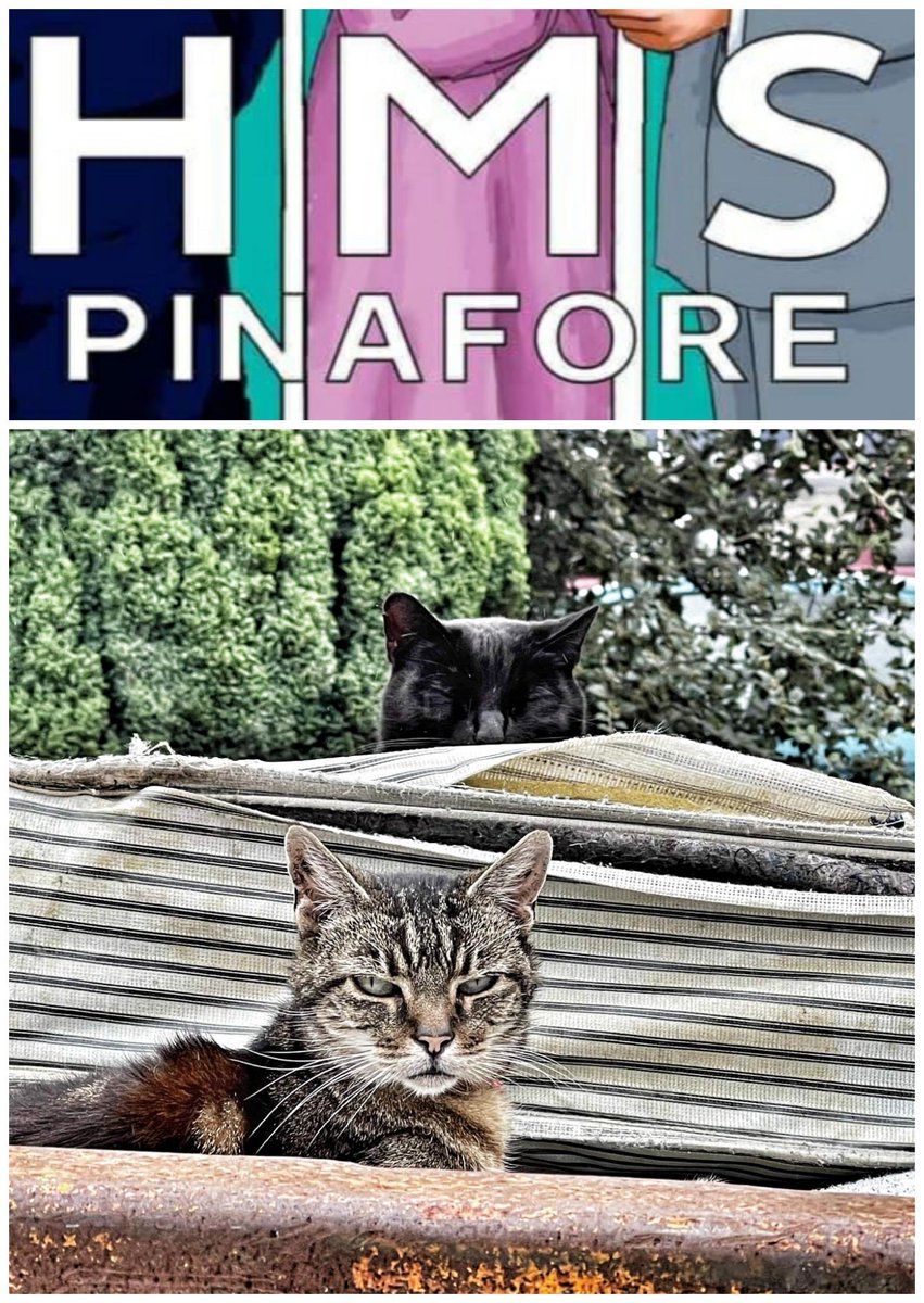 Swindon G&S tweet media