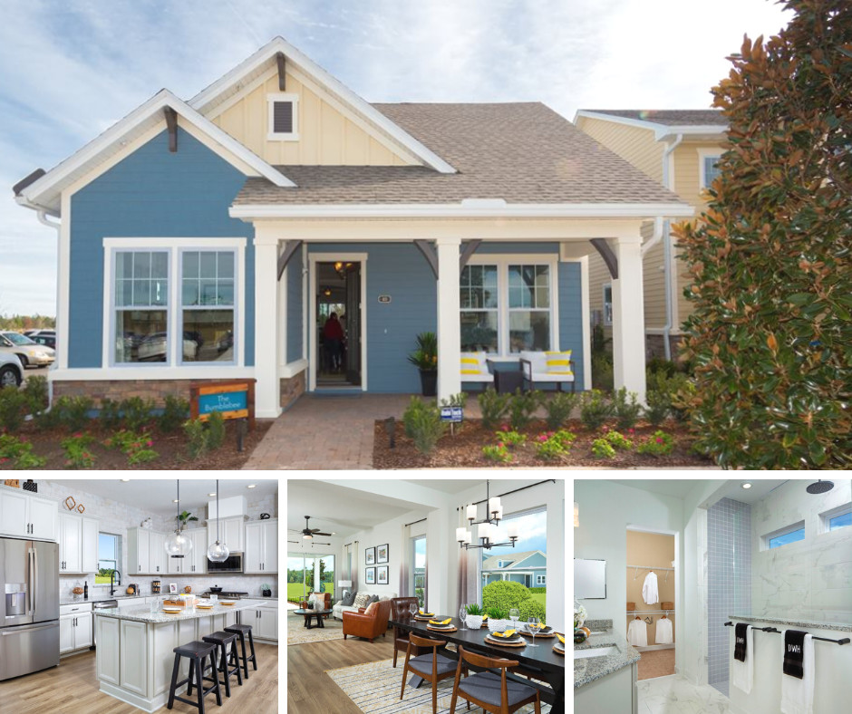 Shearwater Life tweet media