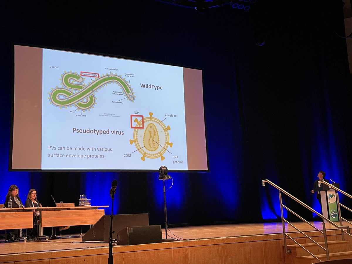 ViralPseudotype's tweet photo. Dr Simon Scott talks filos and ectoparasites @ #Microbio22 plus beautiful use of Ebola virus pseudotype platform technology developed at VPU UK. https://t.co/bNKhTn5VBy