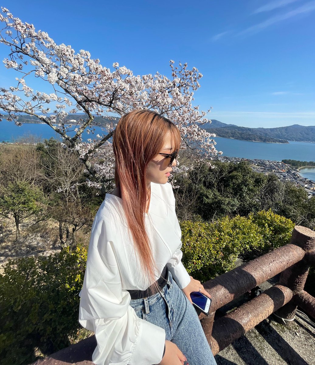 京都桜めぐり🌸