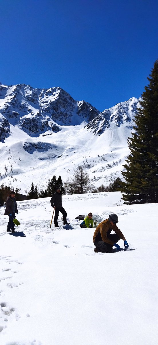 1ere campagne d'échantillonnage de neige à <a href="/LautaretGarden/">Jardin du Lautaret (UGA/CNRS)</a> pour le projet <a href="/AgenceRecherche/">ANR - Agence nationale de la recherche</a> ABS (Atmospheric Biogenic Sugars), un projet commun @IGE_Grenoble <a href="/edytem_fr/">edytem</a> et Laboratoire Ampere 
<a href="/OSUG_fr/">Observatoire des Sciences de l'Univers de Grenoble</a> <a href="/Univ_Savoie/">UnivSavoieMontBlanc</a> <a href="/UGrenobleAlpes/">Université Grenoble Alpes</a> <a href="/CnrsAlpes/">CNRS Alpes</a> @INEE_CNRS @INSU_CNRS <a href="/sajf/">ؘCaca</a>