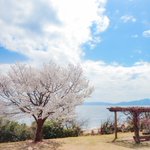 ベイリゾートホテル小豆島【公式】 @ 圧巻のオーシャンビューで瀬戸内マリンを独り占めのツイート画像