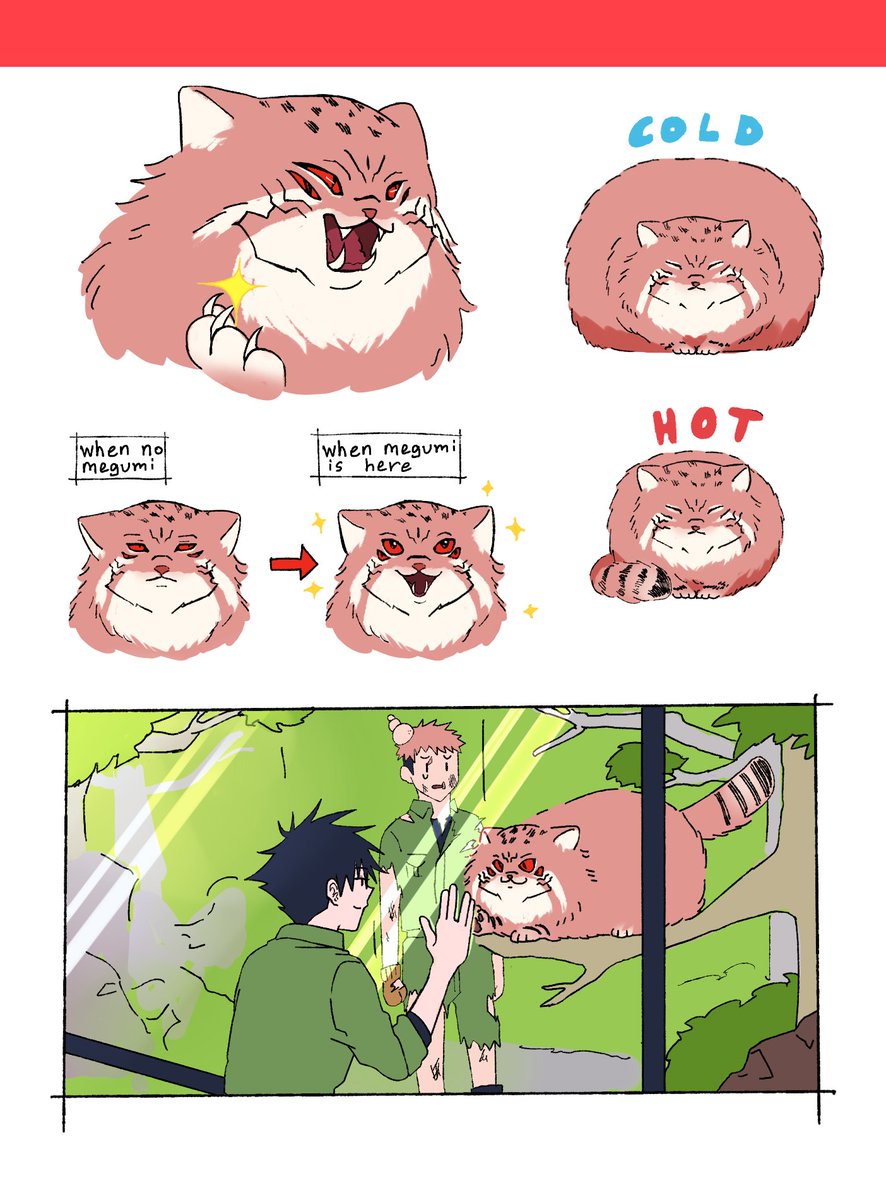 #宿伏 #sukufushi
I think, sukuna would be the perfect manul cat🥺 