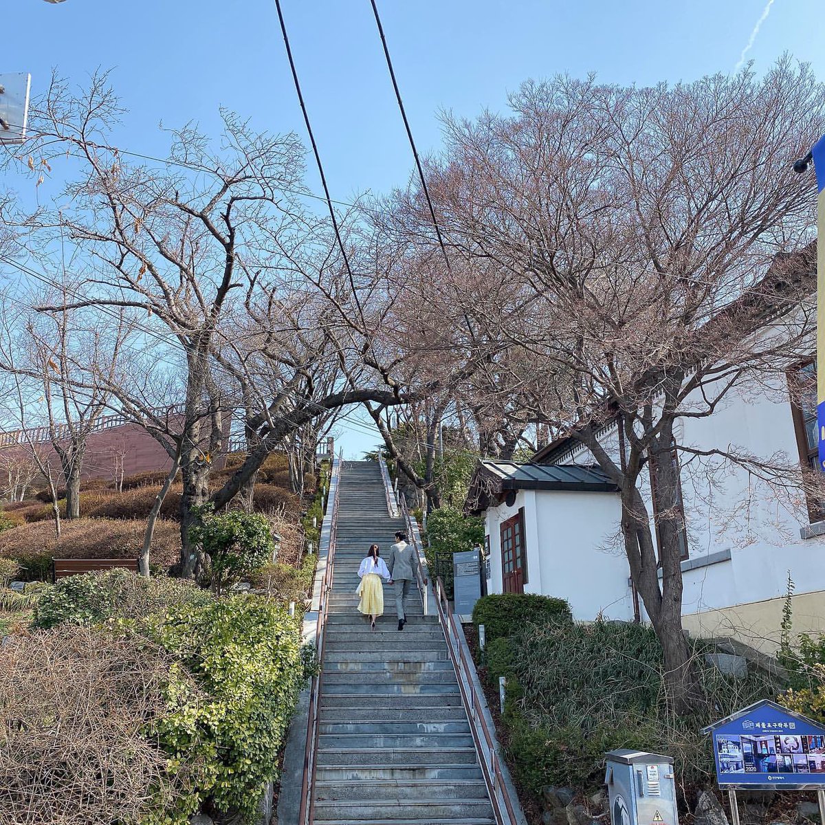 this hatae shot!!🌸♥️

#BusinessProposalEp12