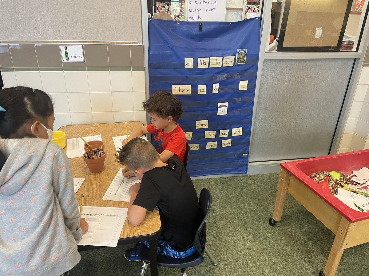 LindseyDeneau's tweet photo. These guys work hard to find, create and write sentences using new vocabulary words from our plant unit! #1LISD #LISDElemScience #LISD_elemlitera https://t.co/nRuNU0cMoV
