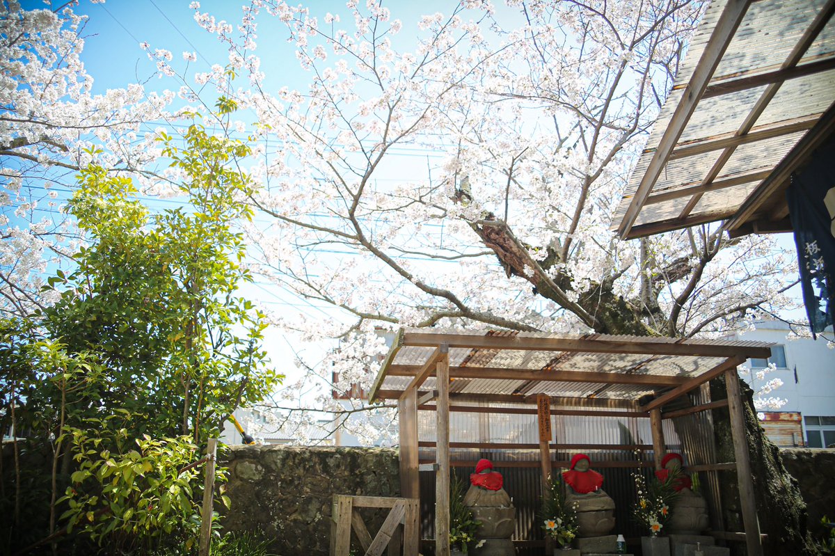 fuotorizo's tweet photo. 明日も気持ちよいお天気になりますよう〜 https://t.co/g3dL9NBnDg