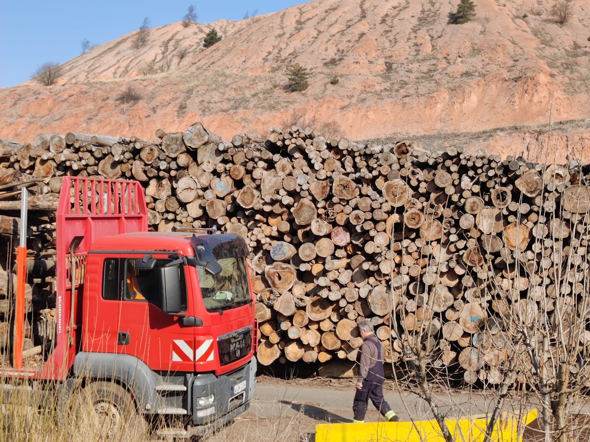 BeyondBurning's tweet photo. The latest #IPCC report came out yesterday, urging policy makers to reduce emissions. Today a report came out showing how the EU biomass industry claims to be burning sawdust and waste wood, but in reality they’re burning logs: https://t.co/74IhDpl8Lf 1/4 #StopFakeRenewables https://t.co/uaCzYqdt0f