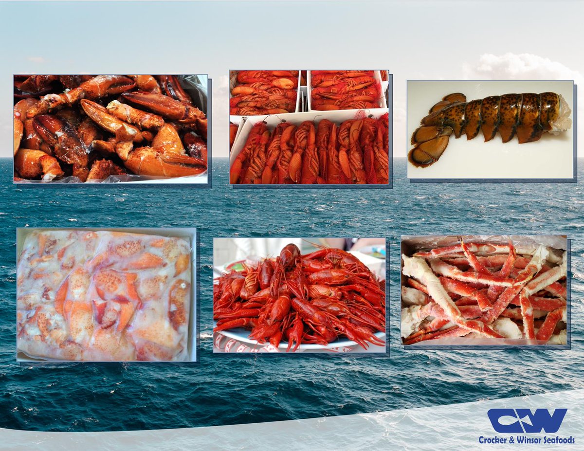 WinsorBayFish's tweet photo. Are you prepared for the new season? 🦞 🦀 Spring into action and check out this weeks featured items.

- Whole cooked Lobster, tails, meat and Scored claws
- Whole cooked crawfish
- Jumbo Lump VacPac's
- Red and Gold King Crab legs

Give us a call and speak with a sales rep! https://t.co/woKWEnR57z