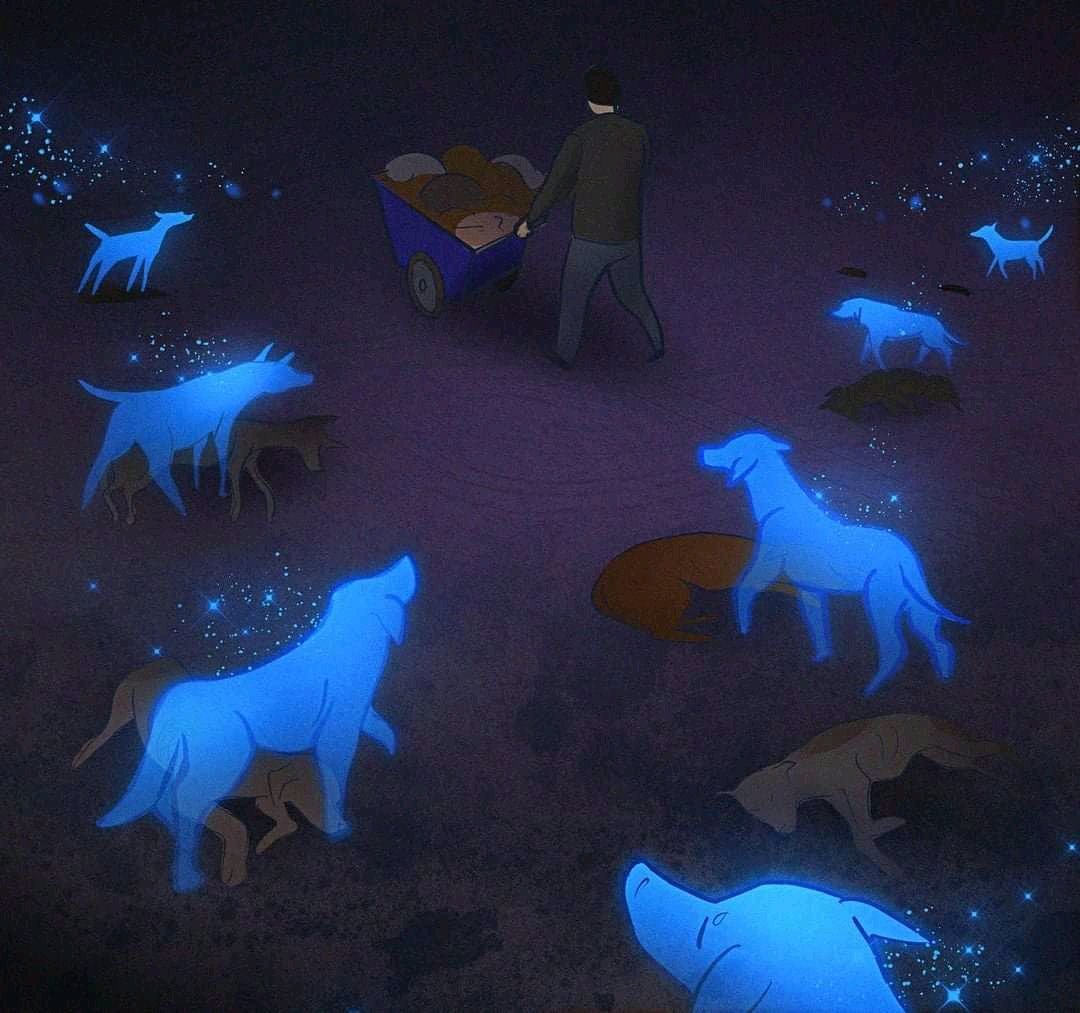 Kateryna Zhemchuzhnykova tweet media