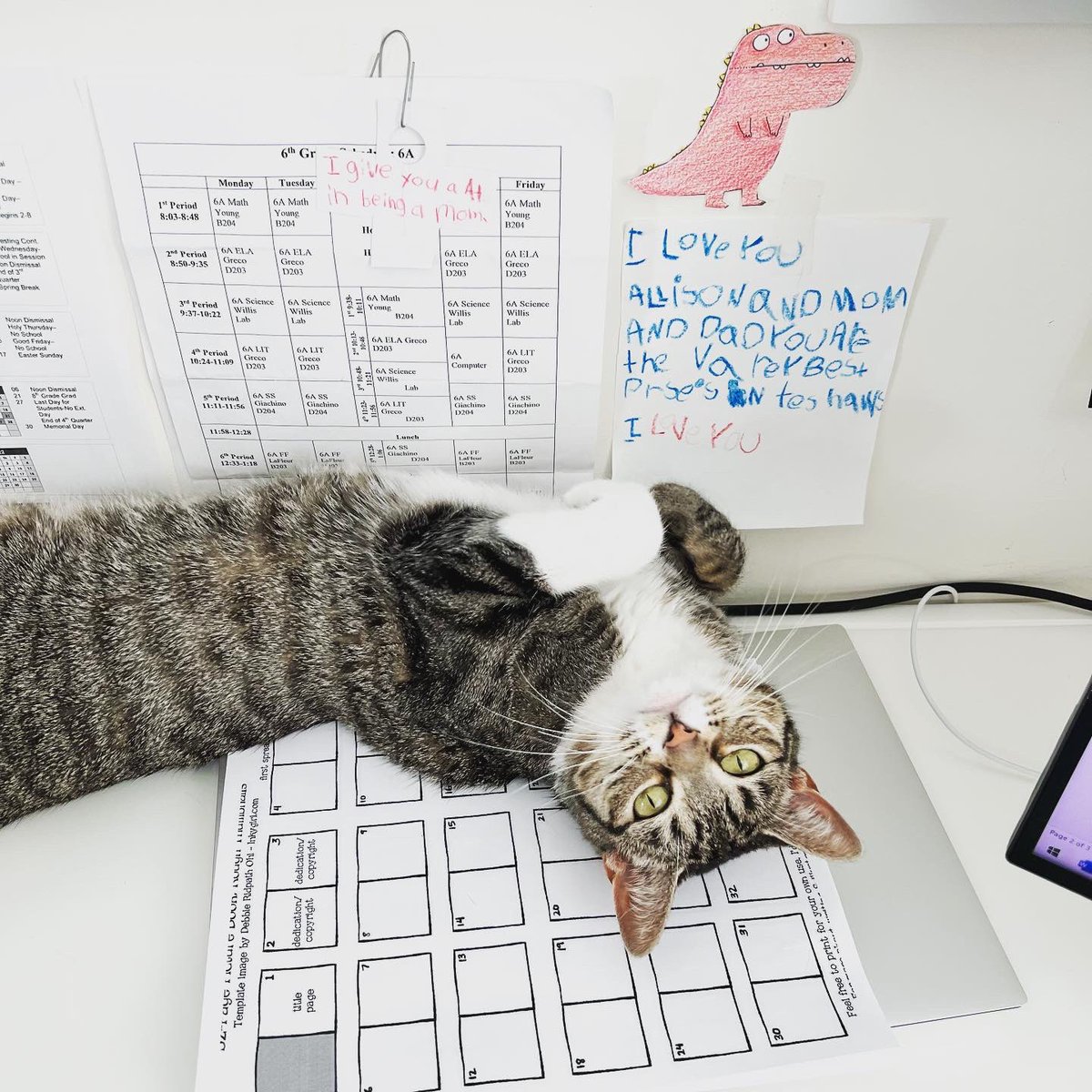 cbaileybooks's tweet photo. When you are working on revisions, and your cat decides she needs attention. And yes, that is @inkygirl ‘s PB template - best template for pagination EVER! #pbtemplate #picturebook #pagination #revisions #writereviserepeat https://t.co/470rSLvHMH