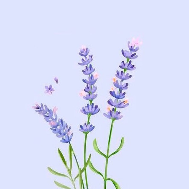 TMalvarez46's tweet photo. Sara no estás sola, estamos agarrando tu mano pase lo que pase. Hoy el Tribunal Supremo decide si confirma la condena de Sara a 4 años de prisión, vamos a mandarle nuestros mejores deseos regalándole una flor. #UnaFlorParaSara #ReddeReparacion #MamaEstáCastigada https://t.co/3WuBcCj5F0